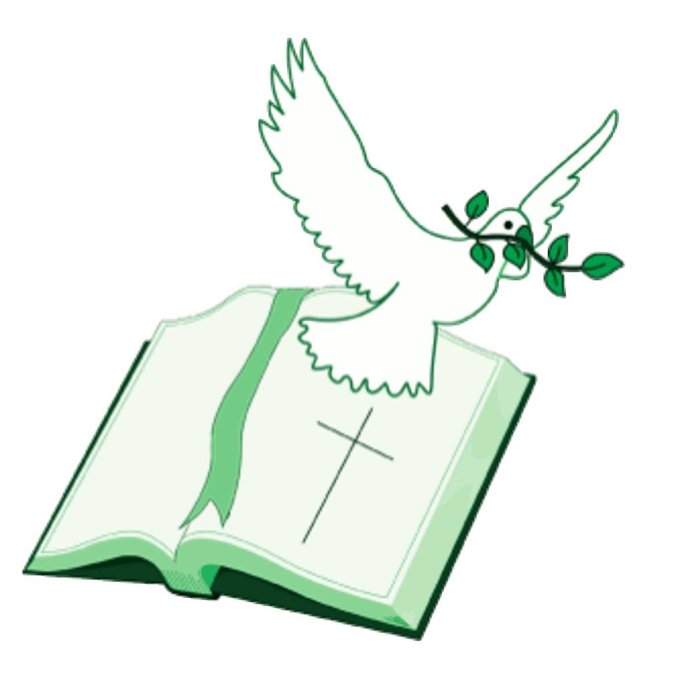 C Kent Group JackShopper